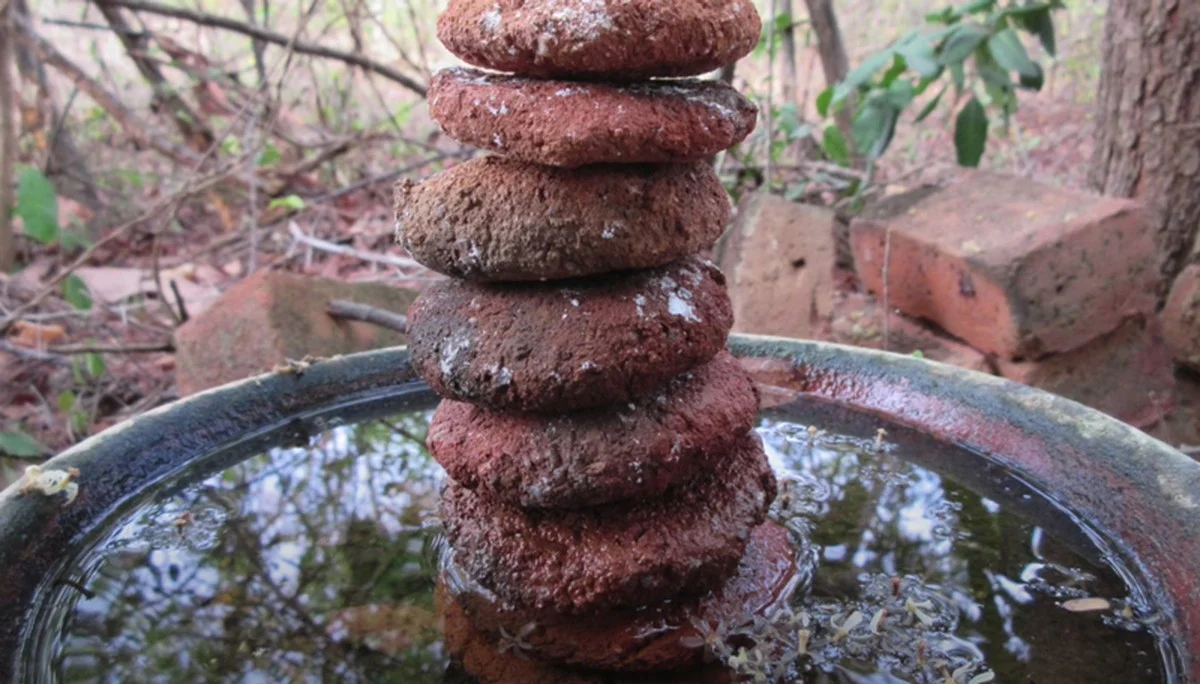 Un pot de terre cassé sous vos plantes ? Pourquoi cela améliore le drainage de 50%.
