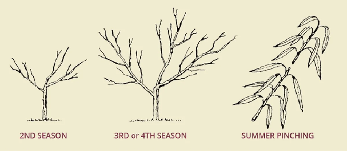 Pourquoi les pros mettent toujours la coupe inclinée d