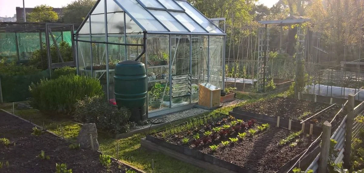 Paysagistes professionnels révèlent : la meilleure heure pour tailler vos haies. - image 1