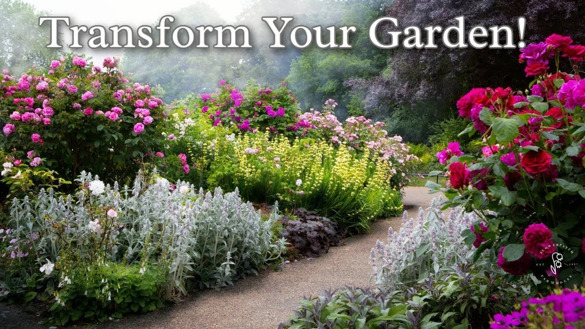 dumarcdecafesur-gen-2.webp Du marc de café sur les rosiers ? Le secret pour des fleurs éclatantes sans pesticides. - image 1