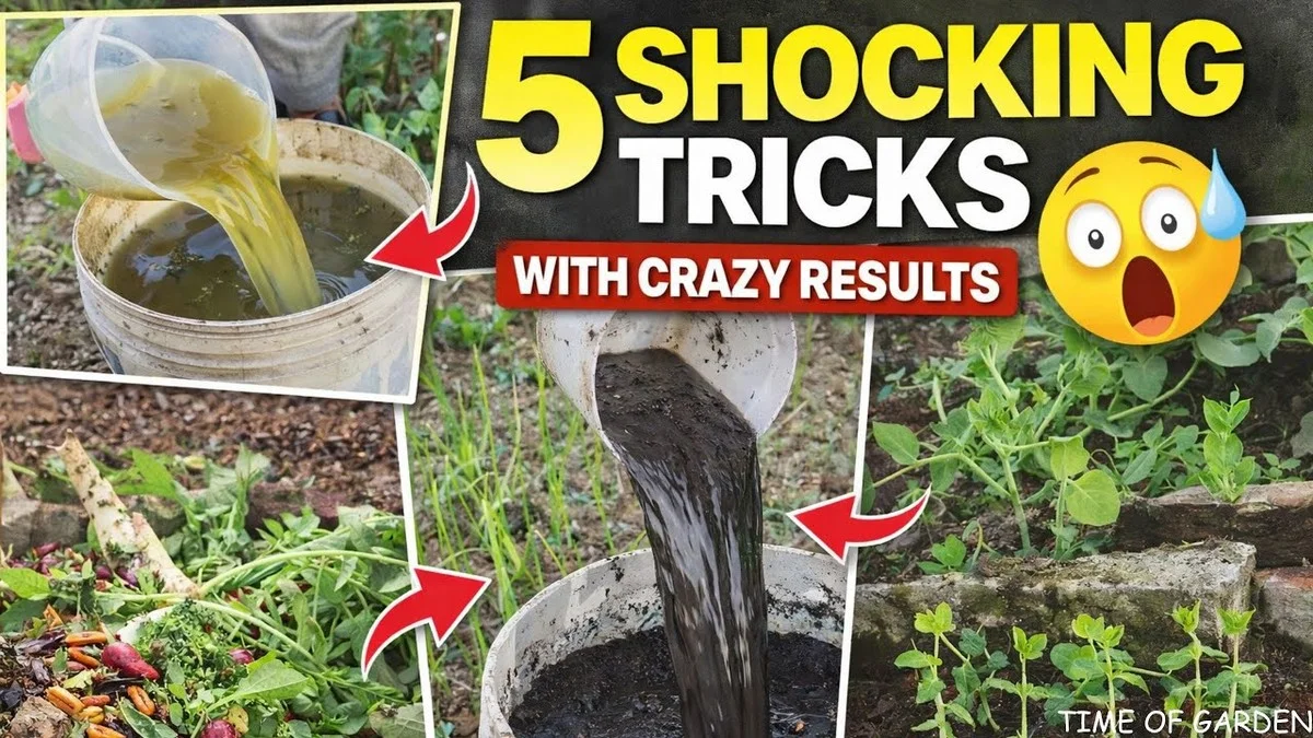 Un bas nylon sur votre arrosoir ? Comment il distribue l