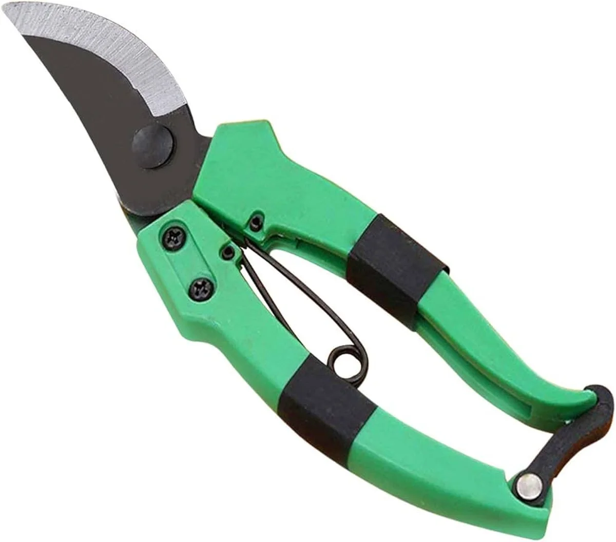 Les pépiniéristes vous supplient : ne taillez jamais ces arbustes après le mois de juin. - image 2