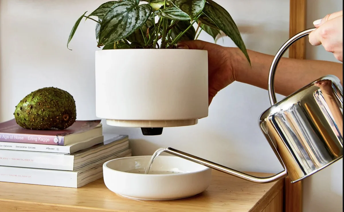 Une paille dans les pots de fleurs ? L