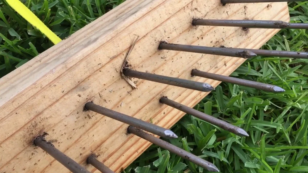 desbouchonsdeli-gen-3.webp Des bouchons de liège dans le terreau ? L