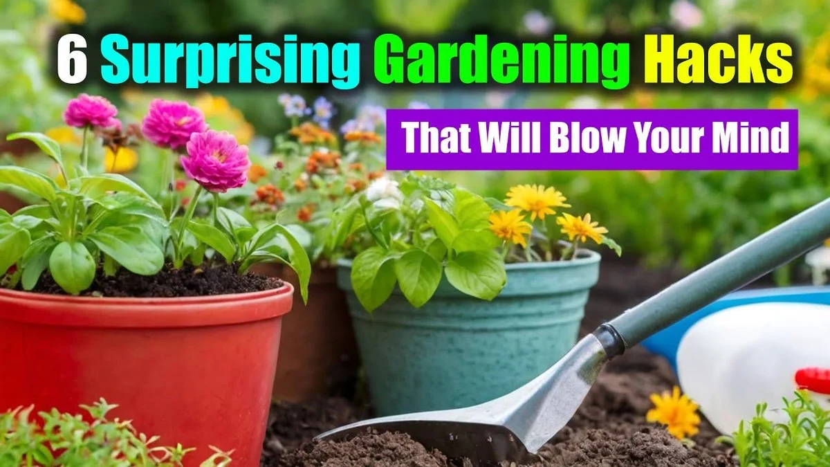 Des bouchons de liège dans votre compost ? L