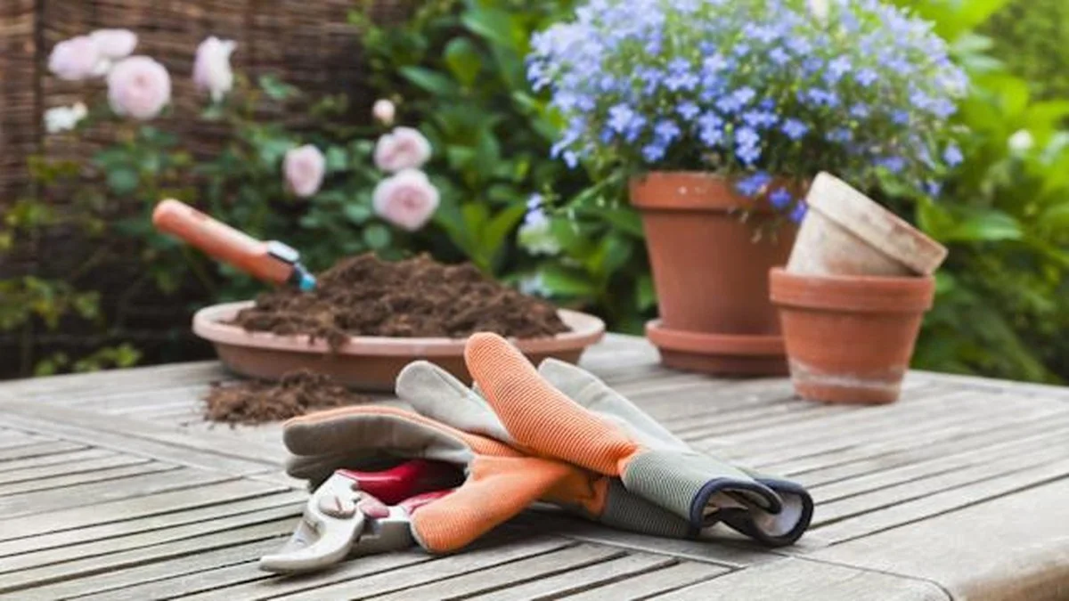 Des bouchons de liège dans le terreau ? L'astuce méconnue pour une floraison exceptionnelle.