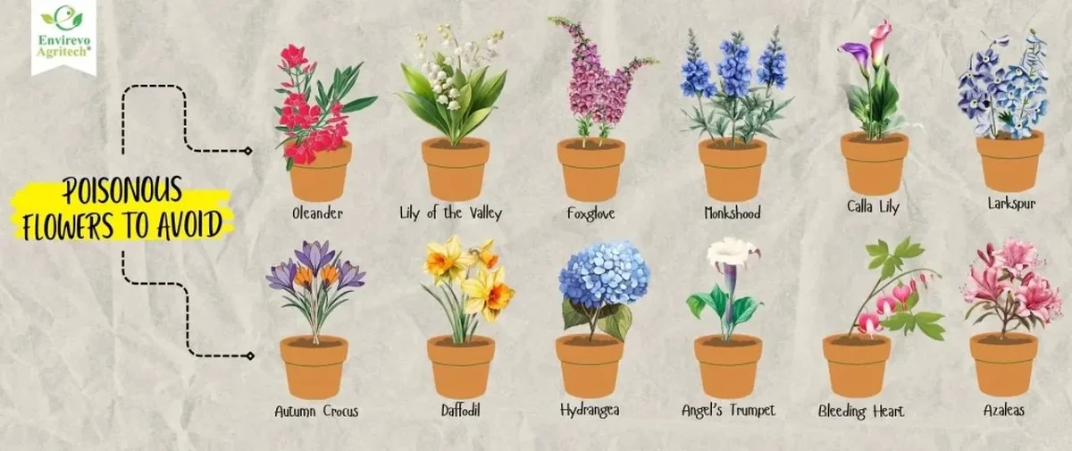 Les pépiniéristes vous supplient : ne plantez jamais ces fleurs ensemble dans votre jardin.